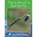 The Life of a Butterfly: Fluency Launch