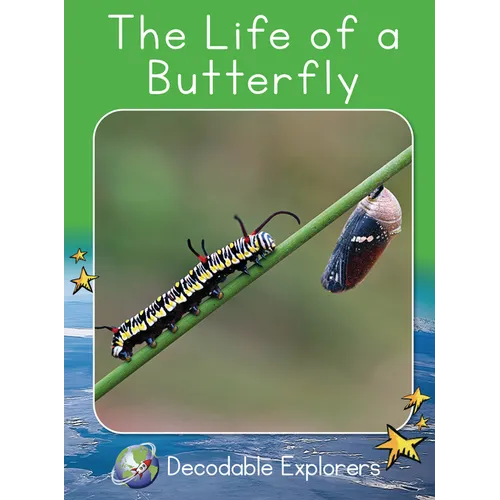 The Life of a Butterfly: Fluency Launch