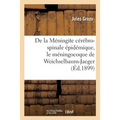 de la Méningite Cérébro-Spinale Épidémique, Le Méningocoque de Weichselbaum-Jaeger