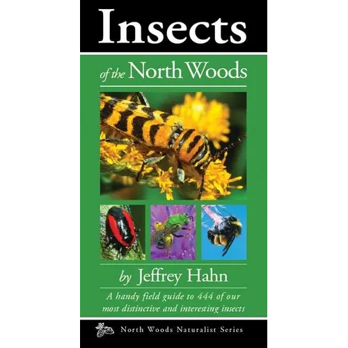 Insects of the North Woods