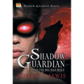 Shadow Guardian and the Big Bad Wolf