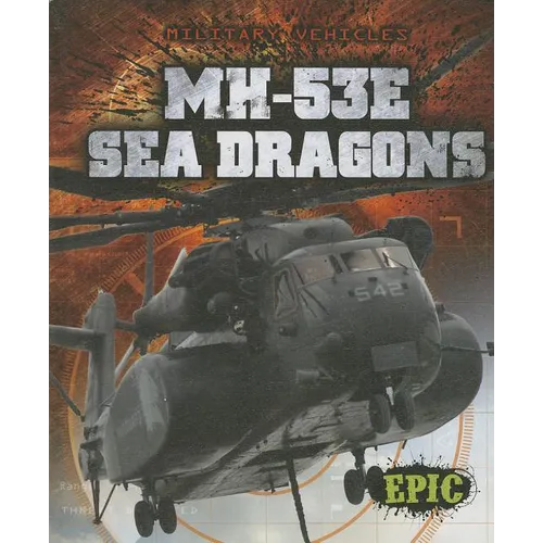 MH-53E Sea Dragons