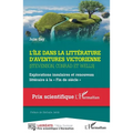 L'île dans la littérature d'aventures victorienne