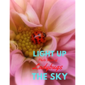 Light Up the Sky Photo Book of Ladybugs: Picture Book of Full Color Photography of Ladybugs and Flowers
