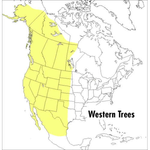 A Peterson Field Guide to Western Trees: Western United States and Canada