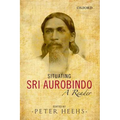 Situating Sri Aurobindo: A Reader