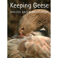 Keeping Geese: Breeds and Management