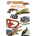 Reptiles