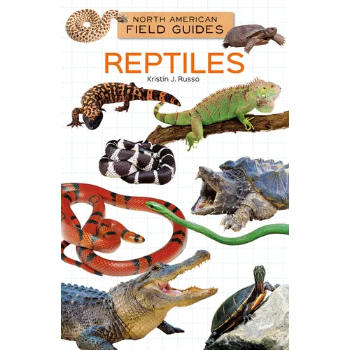 Reptiles
