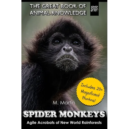 Spider Monkeys: Agile Acrobats of New World Rainforests