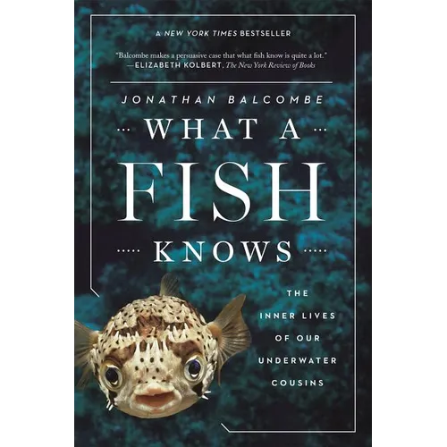 What a Fish Knows: The Inner Lives of Our Underwater Cousins