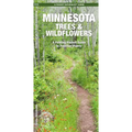 Minnesota Trees & Wildflowers: An Introduction to Familiar Species
