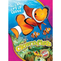 Clownfish