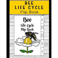 Life Cycle of Bees