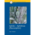 Aphids - Aphidinae (Macrosiphini)