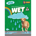 What's Going on When It's Wet