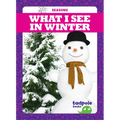 What I See in Winter