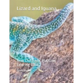 Lizard and Iguana: Brim Children's Playtime Coloring Book.