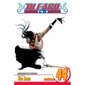 Bleach, Vol. 44