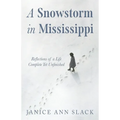 A Snowstorm in Mississippi
