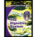 Digestive System