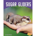 Sugar Gliders