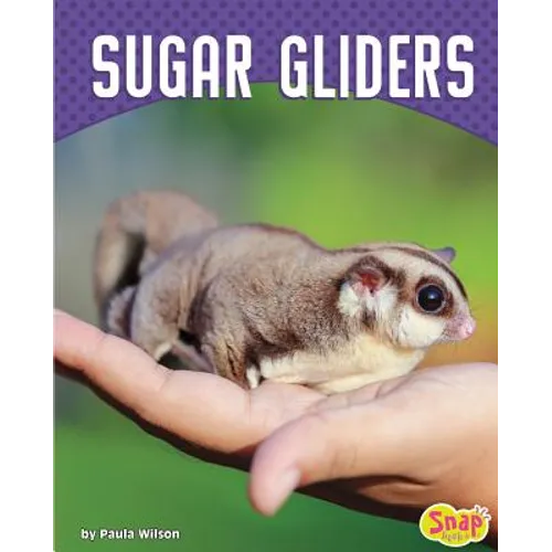 Sugar Gliders