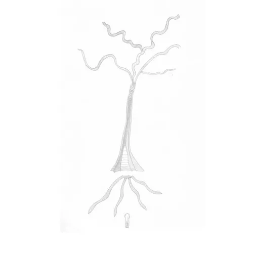 WellSpringEternal