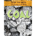 How Coal Is Formed