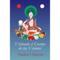 Vistiendo el Cuerpo de las Visiones