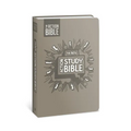 The NIV Action Study Bible, Leathersoft, Gray, Full Color
