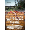 Sweet-Tango Terror: A Marc LaRose Mystery