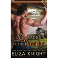 Guarded by the Warrior