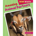 Amazing Animal Partners