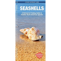 Seashells, 2nd Ed: A Folding Pocket Guide to Familiar North American Species