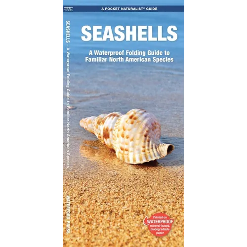 Seashells, 2nd Ed: A Folding Pocket Guide to Familiar North American Species