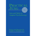 Practical Jung: Nuts and Bolts of Jungian Psychotherapy