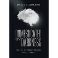 Domesticated by Darkness: The Life We've Been Trained to Call Normal