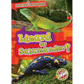 Lizard or Salamander?