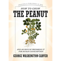 How to Grow the Peanut: And 105 Ways of Preparing It for Human Consumption