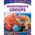 Invertebrate Groups