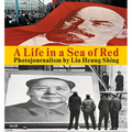 Liu Heung Shing: A Life in a Sea of Red