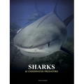Sharks and Underwater Predators