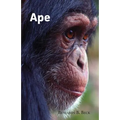 Ape