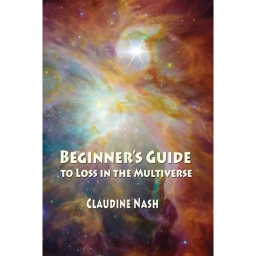 Beginner's Guide to Loss in the Multiverse