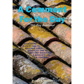 A Comment For the Day, 365 Day Devotional