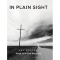 In Plain Sight: Faith Is In The Everyday
