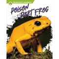 Poison Dart Frog