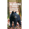 Alabama Wildlife: A Folding Pocket Guide to Familiar Animals