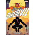 Daredevil by Saladin Ahmed Vol. 2: Hell to Pay